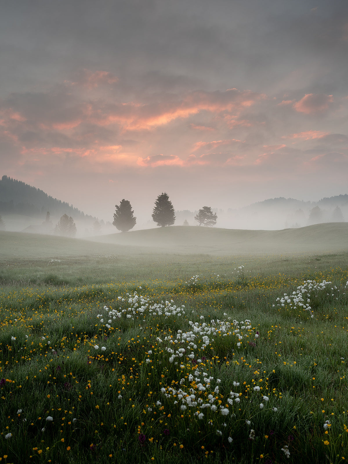 Paysage